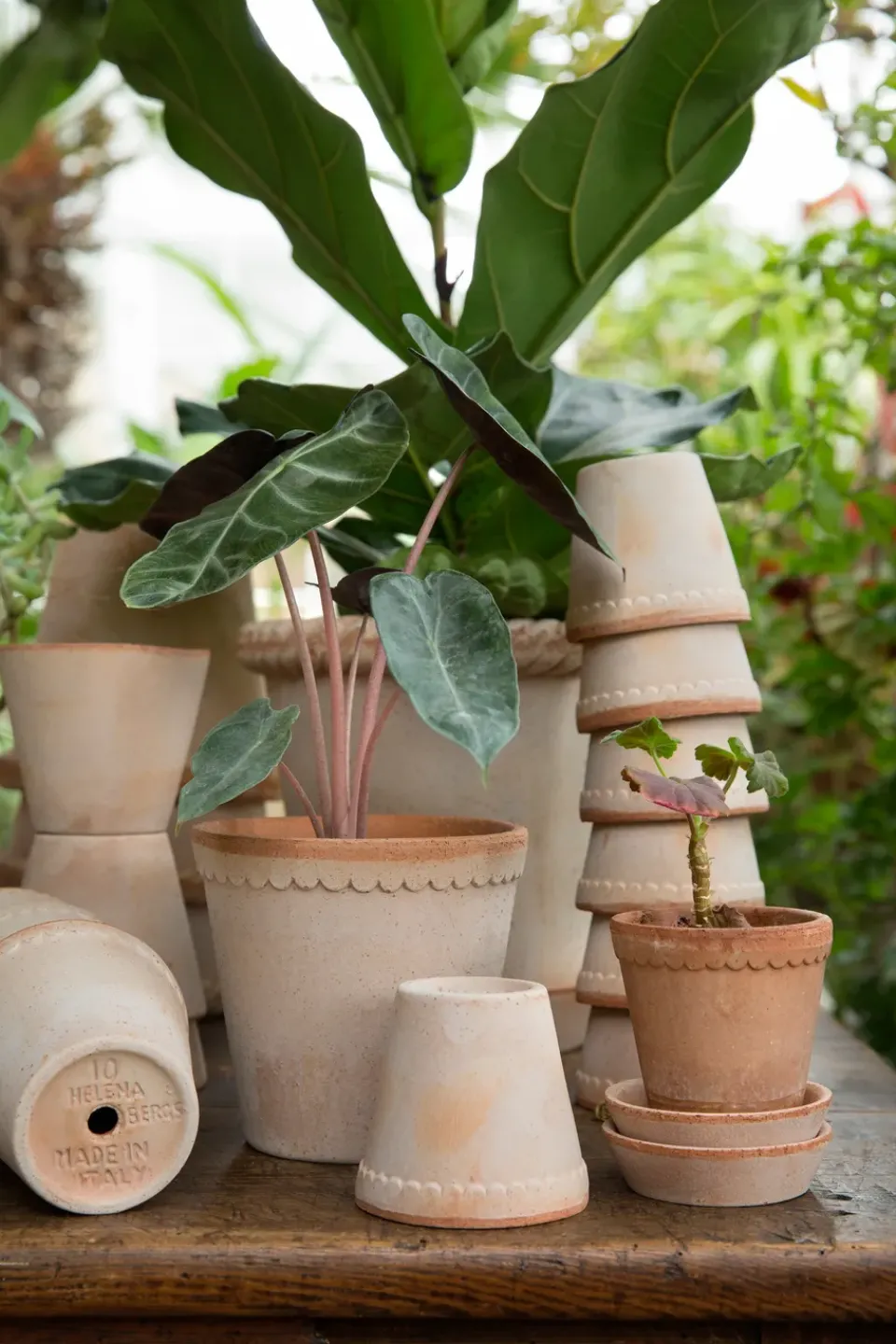Discount Bergs Potter Helena flower pot Ø12 cm, Pink