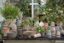 Discount Bergs Potter Helena flower pot Ø12 cm, Pink
