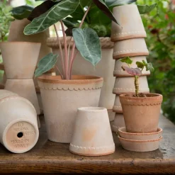 Flower Pots^Bergs Potter Helena flower pot Ø10 cm, Pink