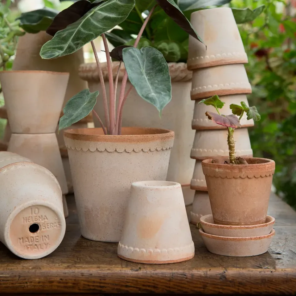 Flower Pots^Bergs Potter Helena flower pot Ø10 cm, Pink