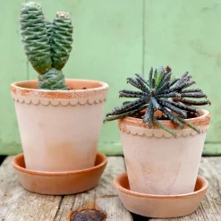 Flower Pots^Bergs Potter Helena flower pot Ø14 cm, Pink