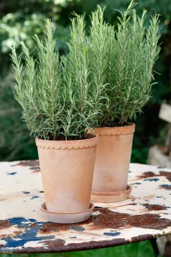 New Bergs Potter Helena flower pot high Ø14 cm, Pink
