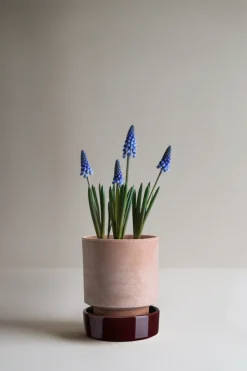 Discount Bergs Potter Hoff pot, Ø14 cm, Raw Rosa-Deep Burgundy PinkPurple