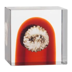 Best Iittala annual cube, 2026 Orange