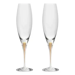 Champagne Glasses^Orrefors Intermezzo champagne glass 26 cl 2-pack, Gold Gold-coloured