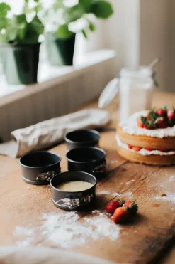 More Baking Accessories|Round Flat Oven & Flan Dishes^Dorre Karabo mini springform carbon steel 4-pack, Ø10 cm Grey