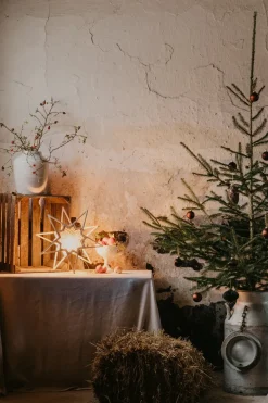 Outlet Globen Lighting Karin advent star Ø45 cm, Nature Beige
