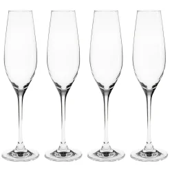 Champagne Glasses^Scandi Living Karlevi champagne glass 4-pack, 21 cl Transparent