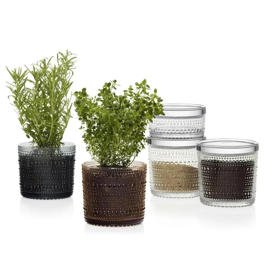 Online Iittala Kastehelmi jar large, clear Transparent