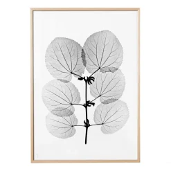 Posters^Fine Little Day Katsura poster, 70x100 cm BlackWhite