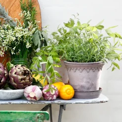 Flower Pots^Bergs Potter Københavner flower pot Ø16 cm, Grey