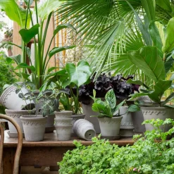 Online Bergs Potter Københavner flower pot Ø25 cm, Grey