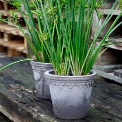 Online Bergs Potter Københavner flower pot Ø18 cm, Grey