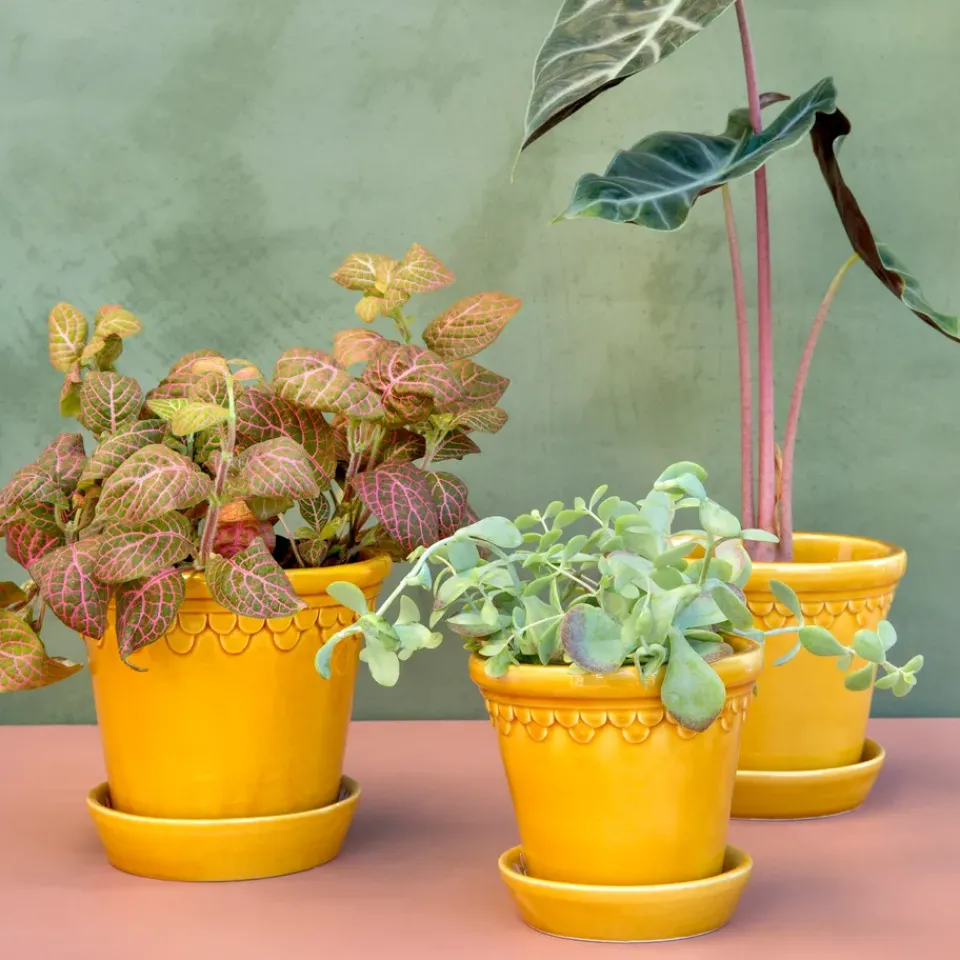 Outlet Bergs Potter Københavner flower pot glazed Ø18 cm, Yellow