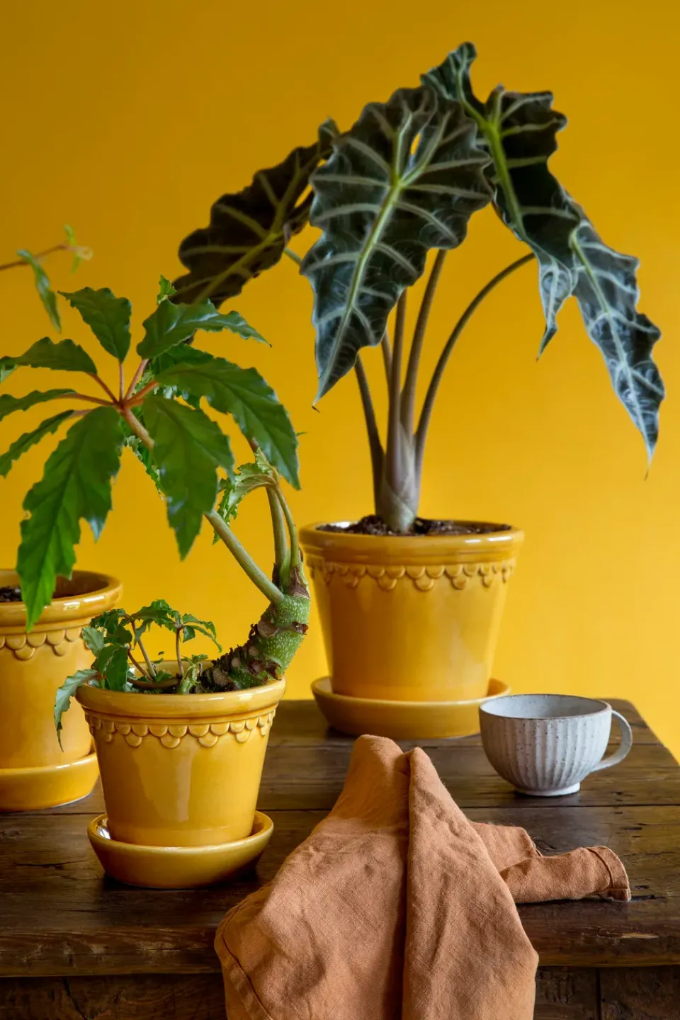 Outlet Bergs Potter Københavner flower pot glazed Ø18 cm, Yellow
