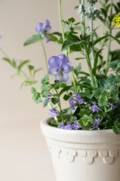 Outlet Bergs Potter Københavner flower pot glazed Ø14 cm, Sand stone Beige