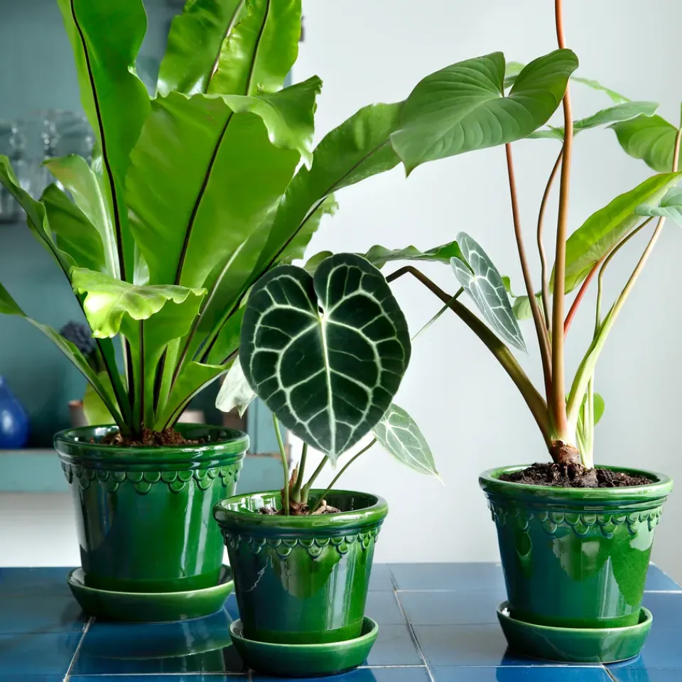 New Bergs Potter Københavner flower pot glazed Ø18 cm, Green