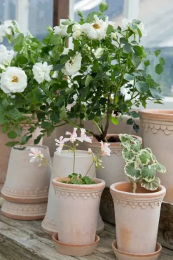 Flower Pots^Bergs Potter Københavner flower pot high Ø10 cm, Pink