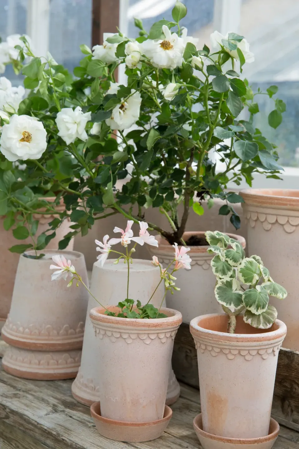 Flower Pots^Bergs Potter Københavner flower pot high Ø10 cm, Pink