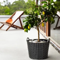 Discount KORBO classic 24, galvanized steel Silver-coloured