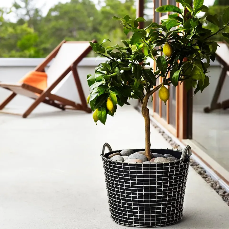 Discount KORBO classic 24, galvanized steel Silver-coloured