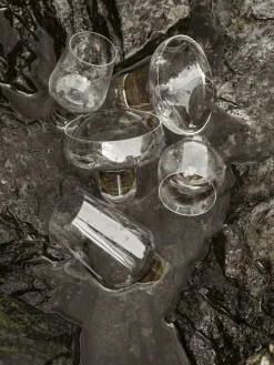 Blomus Koyoi Prosecco glass 20 cl, Clear Transparent
