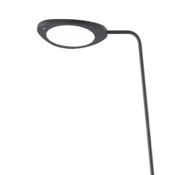 Reading Lamps|Floor Lamps^Muuto Leaf floor lamp, Black