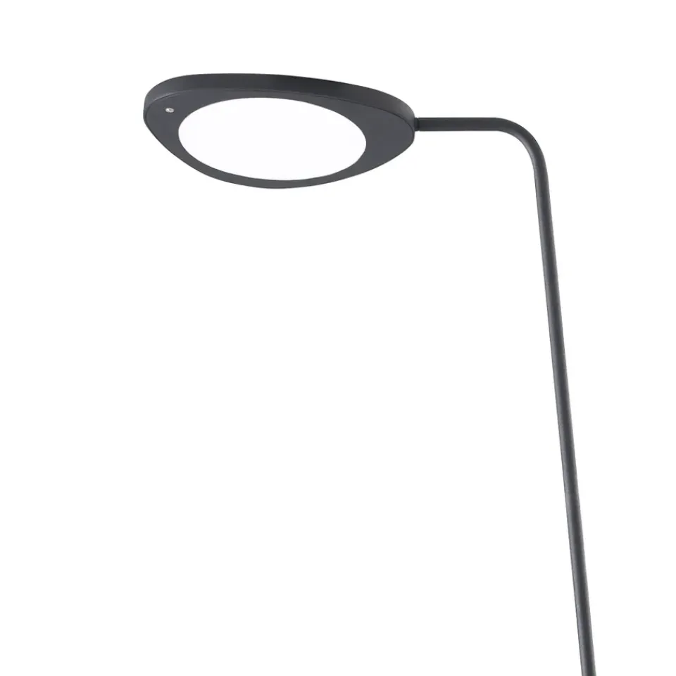 Reading Lamps|Floor Lamps^Muuto Leaf floor lamp, Black