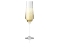 Hot Eva Solo Legio Nova champagne glass 26 cl, 6-pack Transparent