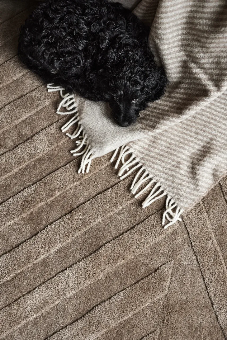 Wool Rugs^NJRD Levels wool rug stripes mole, 170x240 cm Brown