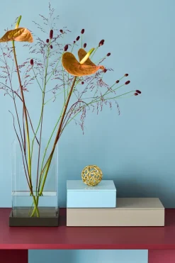 Sale Mojoo Lux lacquered storage box 38x19x7 cm, Fawn Grey