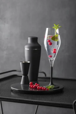 Online Villeroy & Boch Manufacture Rock champagne glass 26 cl 4-pack, Clear-black BlackTransparent