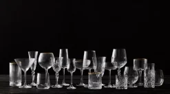 Sale Lyngby Glas Melodia champagne glass 16 cl 4-pack, Crystal Transparent