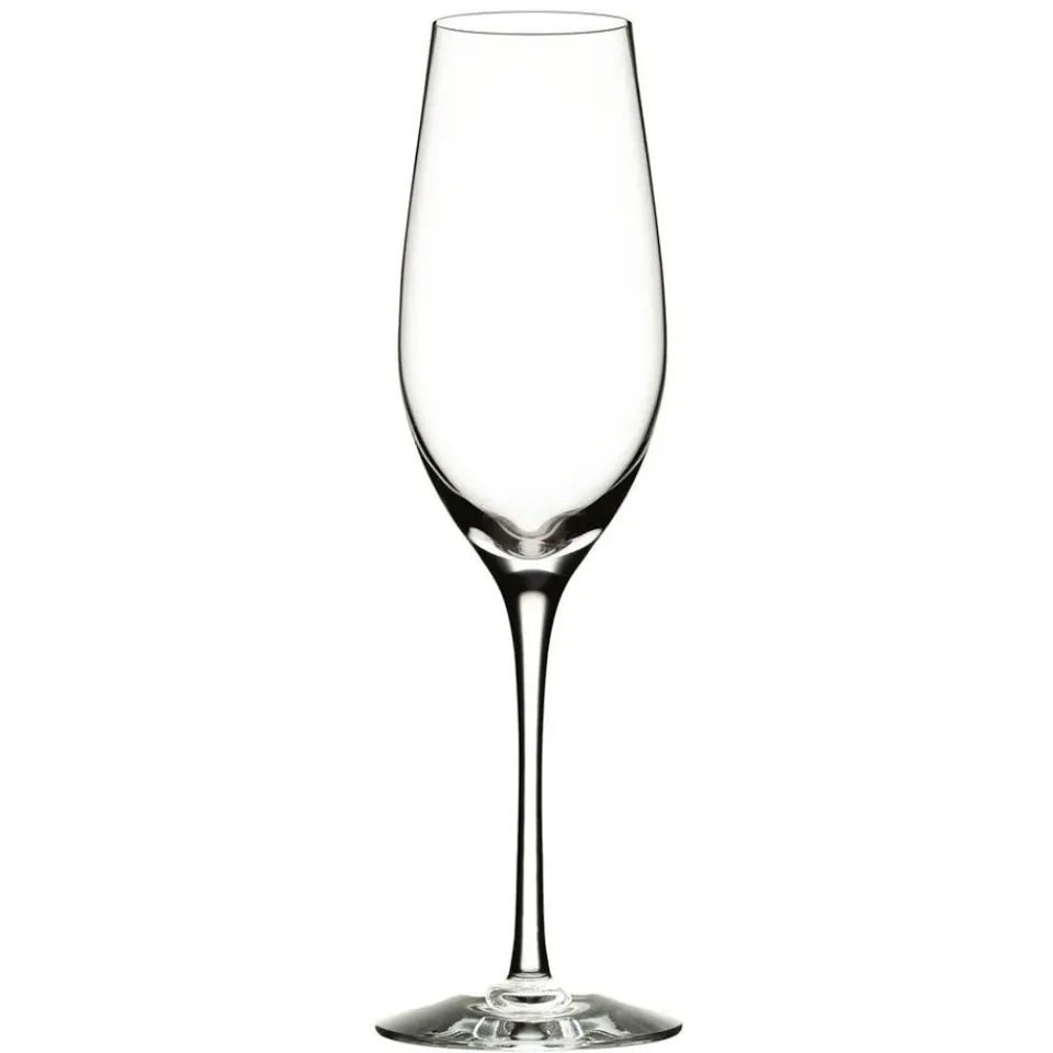 Champagne Glasses^Orrefors Merlot champagne glass, 33 cl Transparent