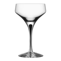 Champagne Glasses^Orrefors Metropol champagnoakupa 24 cl, black Transparent