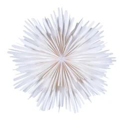 Christmas Stars^Watt & Veke Molly advent star Ø44 cm, White
