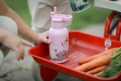 Hot Rätt Start Moomin Meadow water bottle 34 cl, Pink
