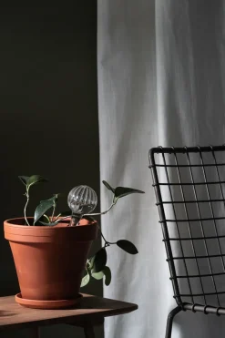 Sale Muurla self-watering 15 cm, Clear Transparent
