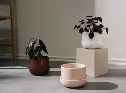 Flower Pots^Iittala Nappula flower pot with saucer Ø17 cm h13 cm, White
