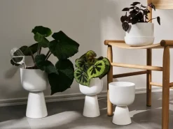 Flower Pots^Iittala Nappula flower pot with saucer Ø17 cm h13 cm, White