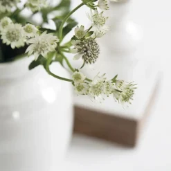 Vases^Kähler Omaggio vase pearl, medium White