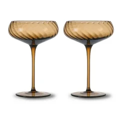 Hot Byon Opacity champagne coupe 300 ml 2-pack, Brown