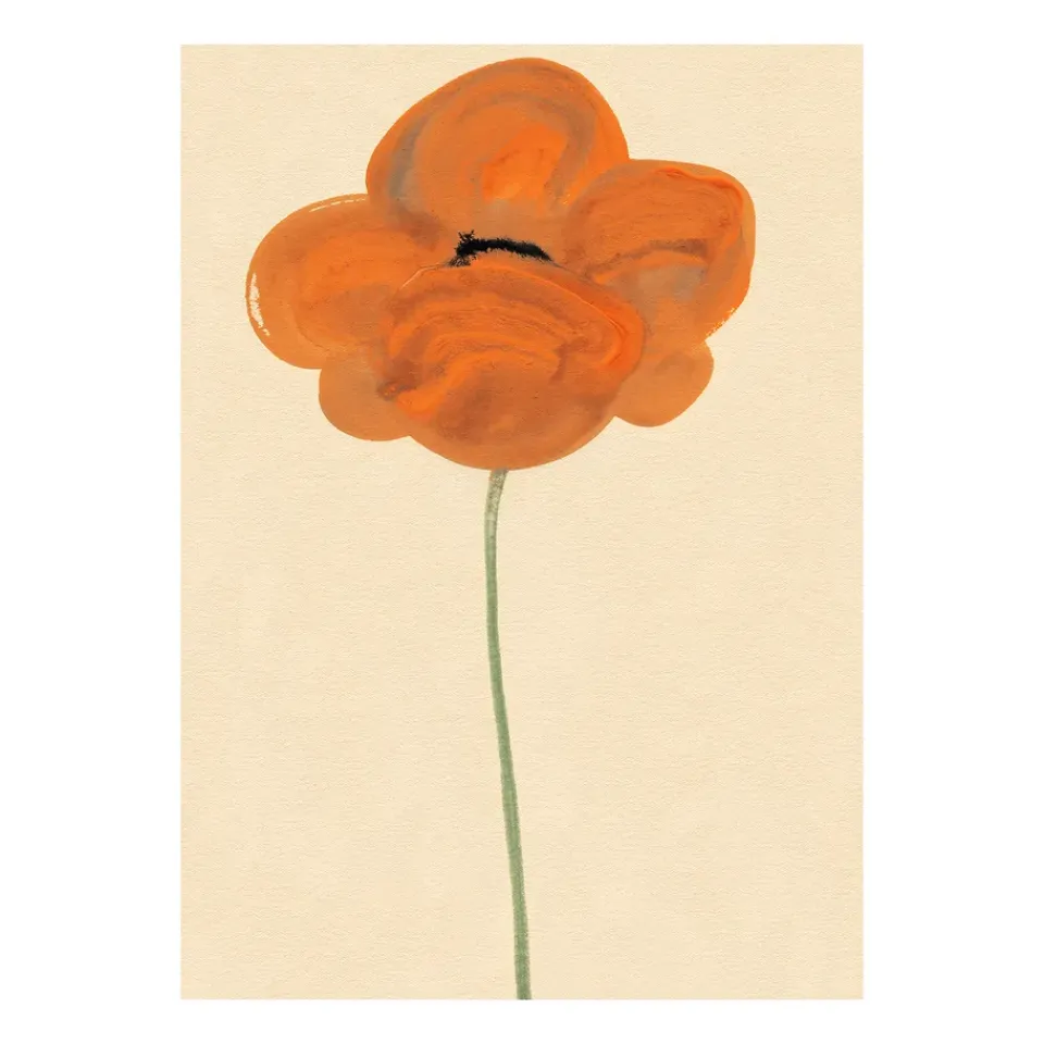 Posters^Paper Collective Orange Vallmo poster, 50x70 cm PinkRed