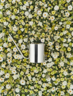 Watering Cans^Stelton Original watering can 1.7 l, stainless steel Silver-coloured
