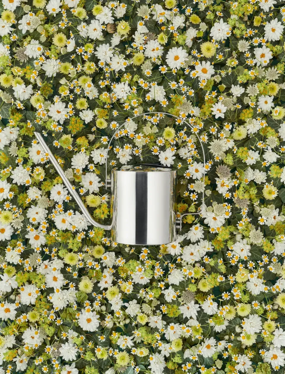 Watering Cans^Stelton Original watering can 1.7 l, stainless steel Silver-coloured