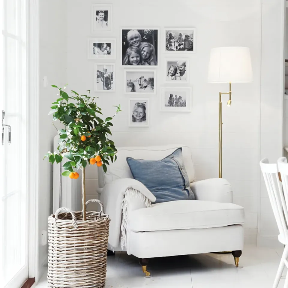 Reading Lamps|Floor Lamps^By Rydéns Orlando floor lamp, , antique brass stand Beige