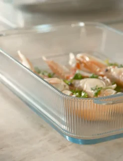 Oven Dishes^Stelton Pilastro ovenproof dish 20.7x33.1 cm, Clear Transparent