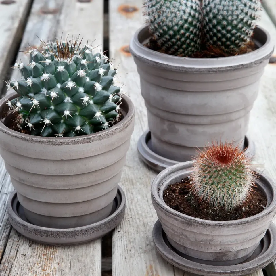 Bergs Potter Planet Saturn flower pot Ø16 cm, Grey
