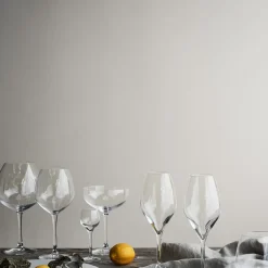 Outlet Rosendahl Premium Champagne glass 37 cl 2-pack, Clear Transparent