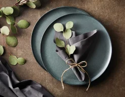 Dinner Plates^Aida Raw plate Ø23 cm, Northern Green